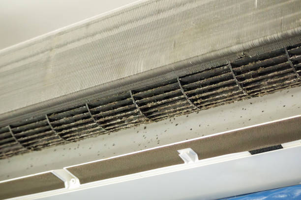 Best Air Duct Cleaning Near Me  in Madisonville, LA