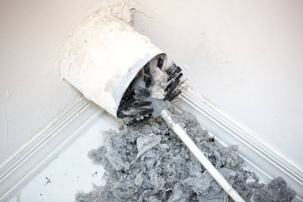 Best Local Air Duct Cleaning Services  in Madisonville, LA